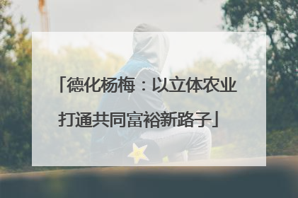 德化杨梅：以立体农业打通共同富裕新路子