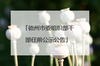 德州市委组织部干部任前公示公告