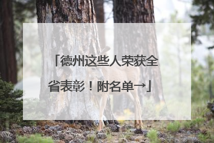德州这些人荣获全省表彰！附名单→