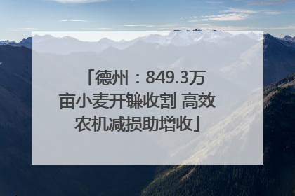 德州：849.3万亩小麦开镰收割 高效农机减损助增收