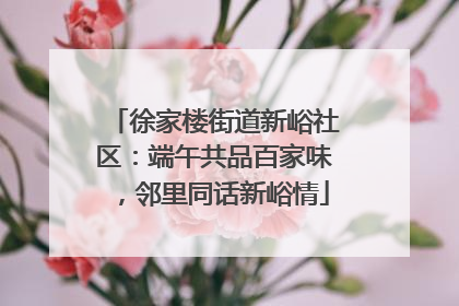 徐家楼街道新峪社区：端午共品百家味，邻里同话新峪情