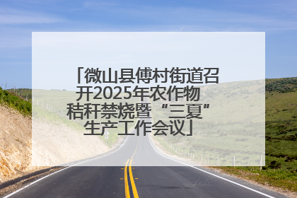 微山县傅村街道召开2025年农作物秸秆禁烧暨“三夏”生产工作会议