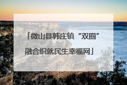 微山县韩庄镇“双圈”融合织就民生幸福网