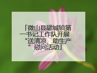 微山县驩城镇第一书记工作队开展“送清凉、助生产”慰问活动