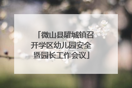 微山县驩城镇召开学区幼儿园安全暨园长工作会议