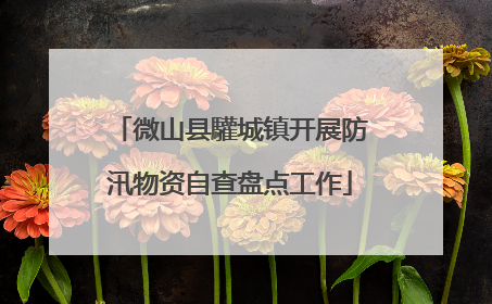 微山县驩城镇开展防汛物资自查盘点工作