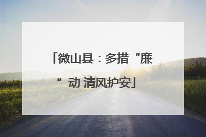 微山县：多措“廉”动 清风护安