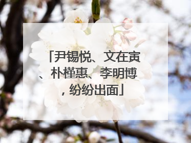 尹锡悦、文在寅、朴槿惠、李明博，纷纷出面