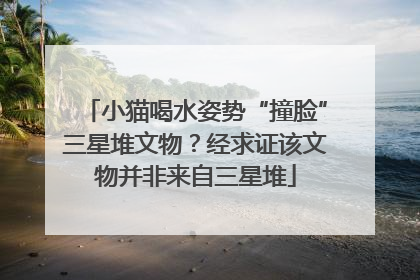 小猫喝水姿势“撞脸”三星堆文物？经求证该文物并非来自三星堆