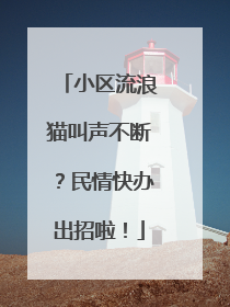 小区流浪猫叫声不断？民情快办出招啦！