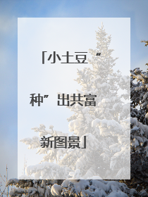 小土豆“种”出共富新图景