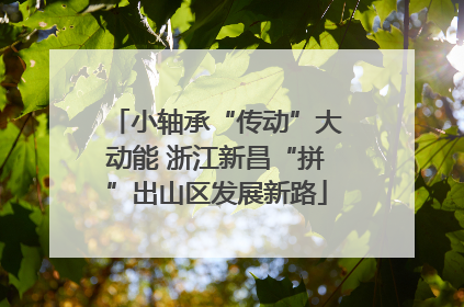 小轴承“传动”大动能 浙江新昌“拼”出山区发展新路