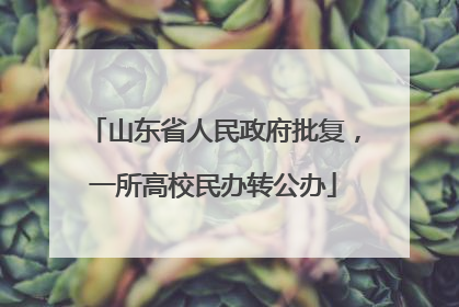 山东省人民政府批复，一所高校民办转公办