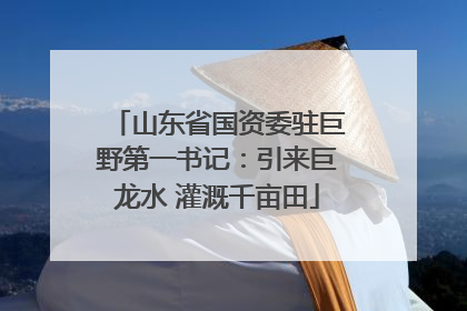 山东省国资委驻巨野第一书记：引来巨龙水 灌溉千亩田