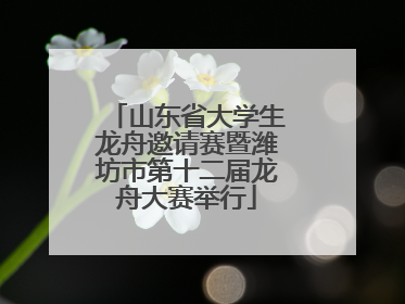 山东省大学生龙舟邀请赛暨潍坊市第十二届龙舟大赛举行