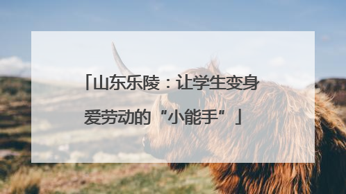 山东乐陵：让学生变身爱劳动的“小能手”