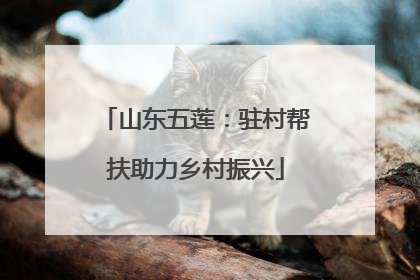 山东五莲：驻村帮扶助力乡村振兴