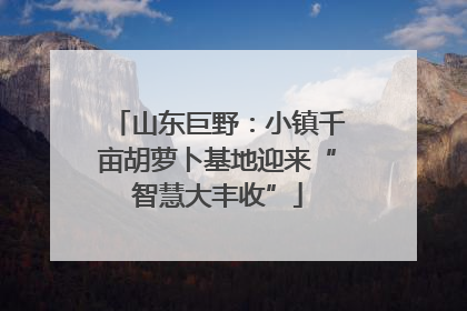 山东巨野：小镇千亩胡萝卜基地迎来“智慧大丰收”