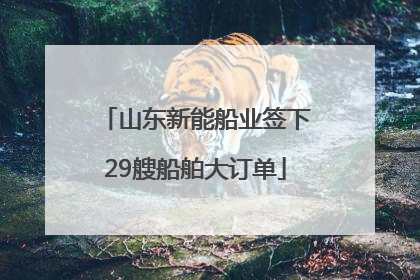 山东新能船业签下29艘船舶大订单