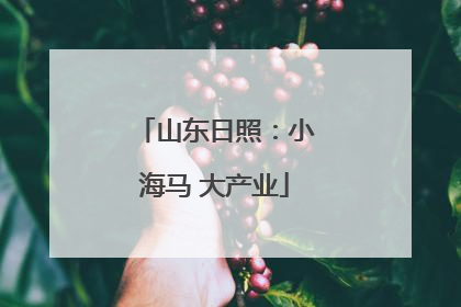 山东日照：小海马 大产业