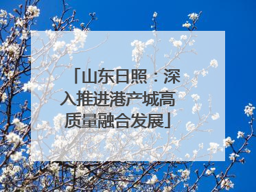 山东日照：深入推进港产城高质量融合发展