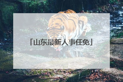 山东最新人事任免