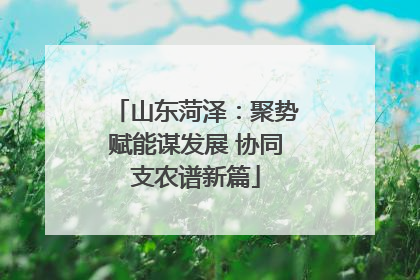 山东菏泽：聚势赋能谋发展 协同支农谱新篇