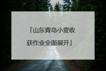 山东青岛小麦收获作业全面展开