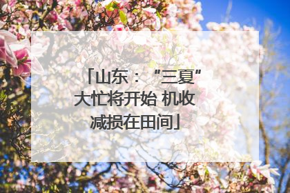 山东：“三夏”大忙将开始 机收减损在田间