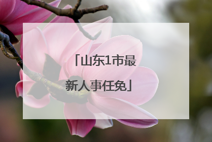 山东1市最新人事任免