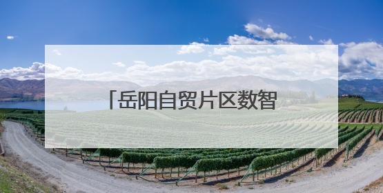 岳阳自贸片区数智法务园：以AI赋能司法，打造新时代法律服务新标杆