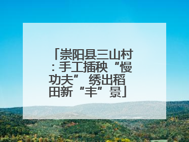 崇阳县三山村：手工插秧“慢功夫” 绣出稻田新“丰”景