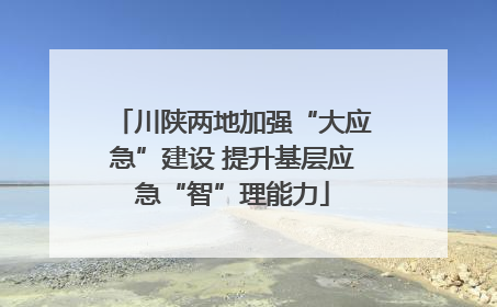 川陕两地加强“大应急”建设 提升基层应急“智”理能力