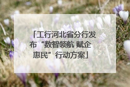 工行河北省分行发布“数智领航 赋企惠民”行动方案
