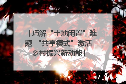 巧解“土地闲置”难题 “共享模式”激活乡村振兴新动能