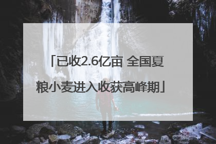 已收2.6亿亩 全国夏粮小麦进入收获高峰期