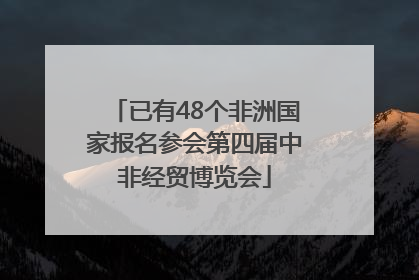 已有48个非洲国家报名参会第四届中非经贸博览会