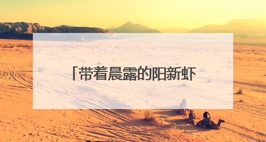 带着晨露的阳新虾，抢鲜武汉大市场