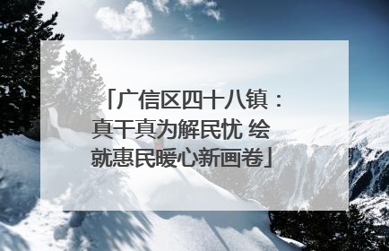 广信区四十八镇：真干真为解民忧 绘就惠民暖心新画卷