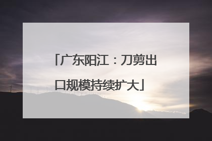 广东阳江：刀剪出口规模持续扩大