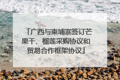 广西与柬埔寨签订芒果干、榴莲采购协议和贸易合作框架协议