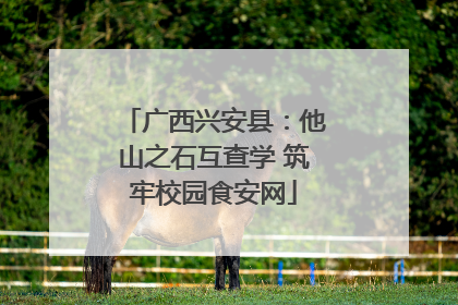 广西兴安县：他山之石互查学 筑牢校园食安网