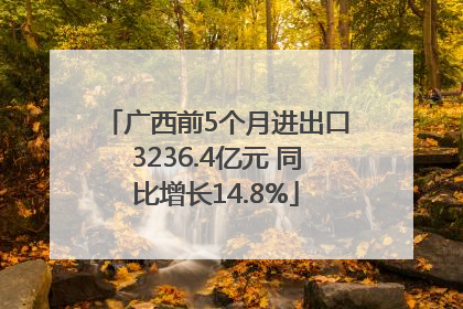 广西前5个月进出口3236.4亿元 同比增长14.8%