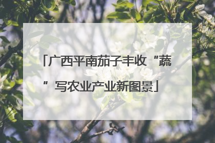 广西平南茄子丰收“蔬”写农业产业新图景