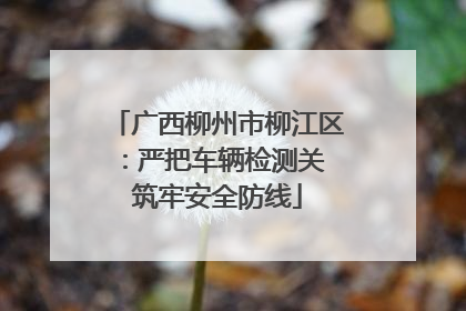 广西柳州市柳江区：严把车辆检测关 筑牢安全防线