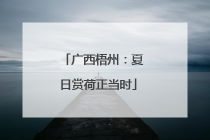 广西梧州：夏日赏荷正当时
