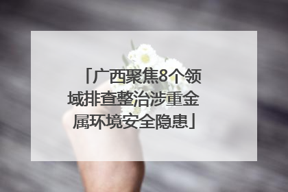 广西聚焦8个领域排查整治涉重金属环境安全隐患