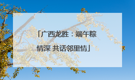 广西龙胜：端午粽情深 共话邻里情