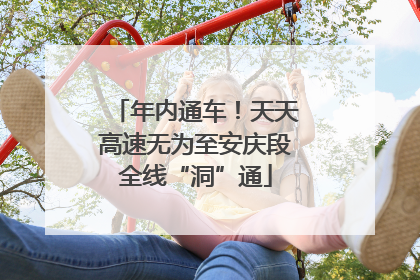 年内通车！天天高速无为至安庆段全线“洞”通