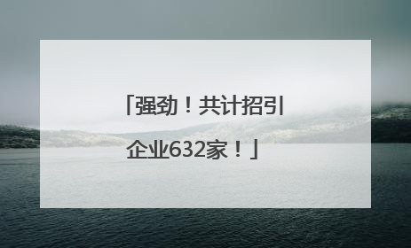 强劲！共计招引企业632家！
